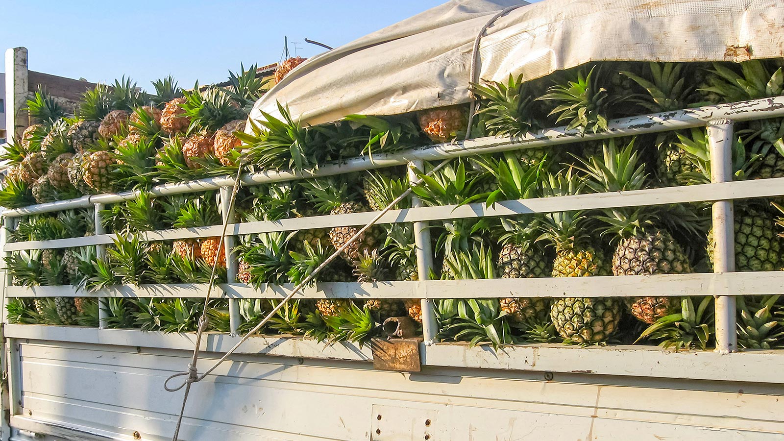 Objetivos del comercio justo